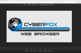 Cyber Fox