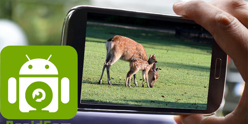 DroidCam Android Webcam