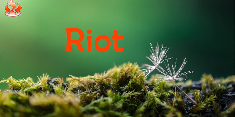 Riot
